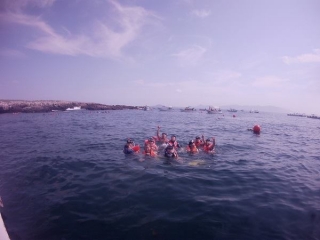  snorkeling nelle isole 